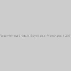 Image of Recombinant Shigella Boydii plsY Protein (aa 1-205)